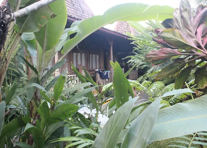 Puri Kayu Cottages ホリデーパーク ウブド