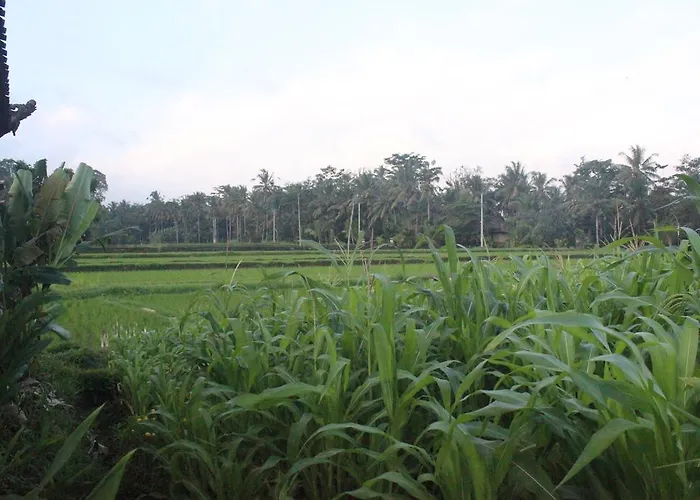 Puri Kayu Cottages ホリデーパーク 2*