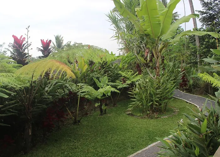 Puri Kayu Cottages 2* ウブド