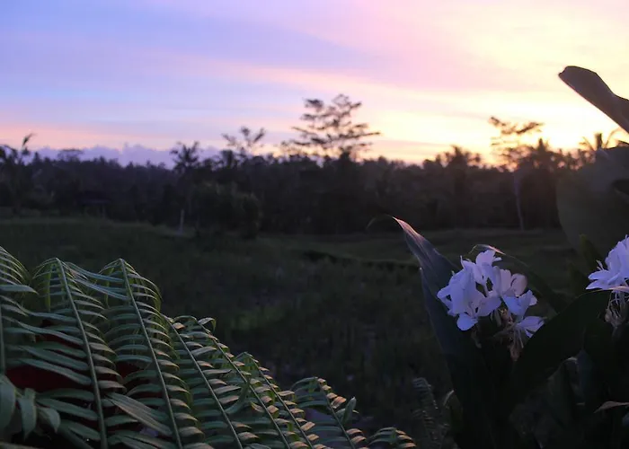 ホリデーパーク Puri Kayu Cottages 2*
