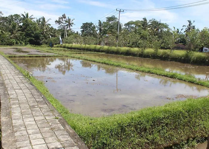 Puri Kayu Cottages 2*